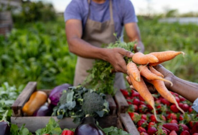 🌱 Construire une ferme résiliente : les leviers clés selon la science